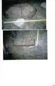 lastscan#1.webp
