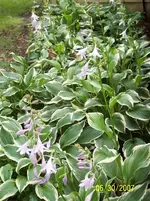 100_0970 (Small).webp