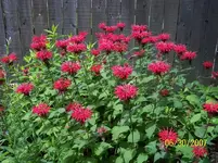 100_0972 (Small).webp