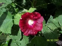 100_0973 (Small).webp