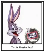Bugs.webp