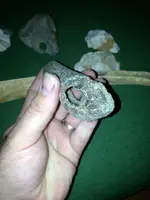 image-225630009.webp