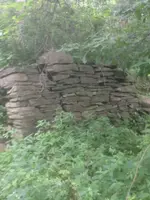 image.webp