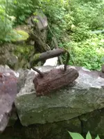 image.webp