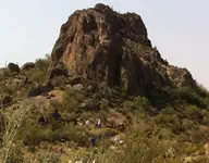 image-2783788632.webp