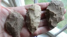 DSC00675 (640x360).webp