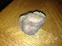 image-1164970755.webp