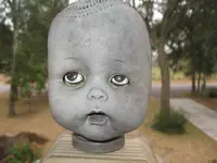 chucksgirl1.webp