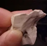 flintscraper6.webp