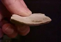 flintscraper1.webp