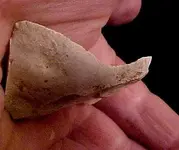 flintscraper4.webp