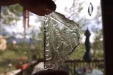 DSCF5309.webp