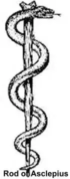 Rod_of_asclepius.webp