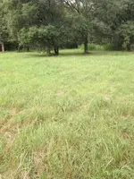 image-844110716.webp