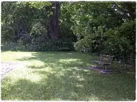June 30 002.webp