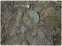 IMG-20130630-02485.webp