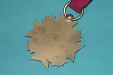 yardsale 004.webp