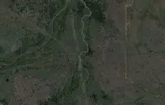 5454545.webp