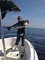 image-509602168.webp