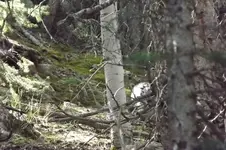 DSCF5387.webp