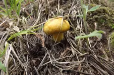 DSCF5399.webp