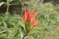 DSCF5401.webp