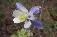 DSCF5405.webp