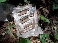 DSCN0457.webp