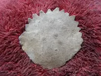 GEDC0028.webp