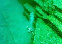 cambay2 (1).gif