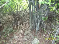 100_1674.webp