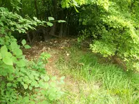 100_1663.webp