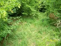 100_1664.webp