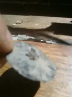image-1535998419.webp