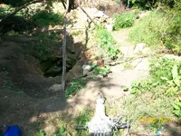 100_1500.webp