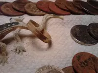 IMG_20130708_181029.webp