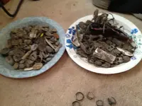 image-3606800889.webp