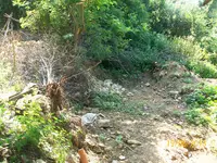 100_1540.webp