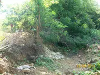 100_1545.webp