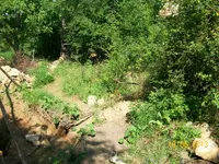 100_1552.webp