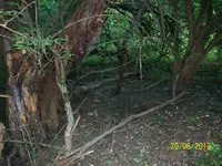 100_1580.webp