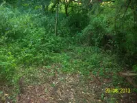 100_1583.webp