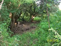 100_1627.webp