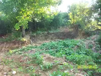 100_1628.webp