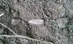 2013-07-27 18.30.10.webp