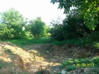 100_1632.webp