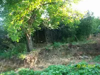100_1633.webp