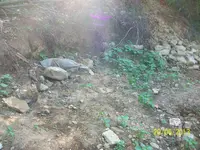 100_1638.webp