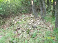 100_1656.webp