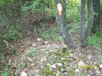 100_1658.webp